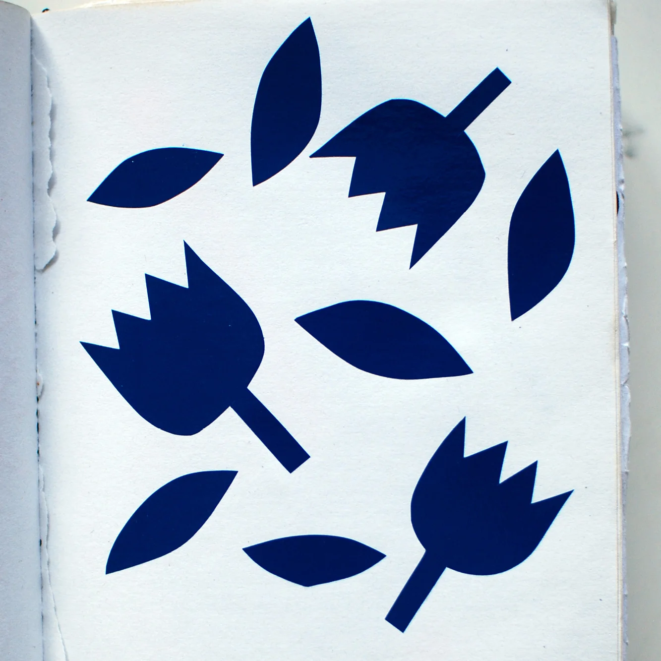 Sketchbook-1000x1000101.jpg