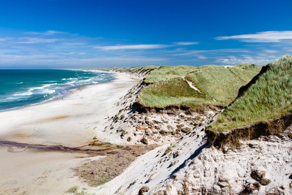 Thy National Park dunes