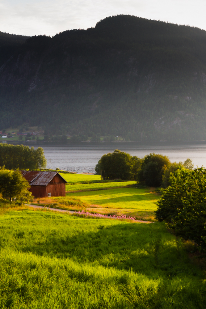 Agriculture is cut from the forest on the low sloping sides of valleys.