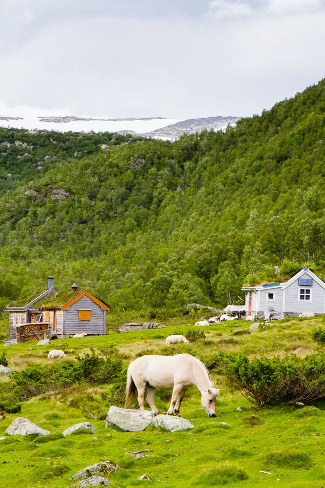 Fonglefonna glacier overlooking summer meadow cabins