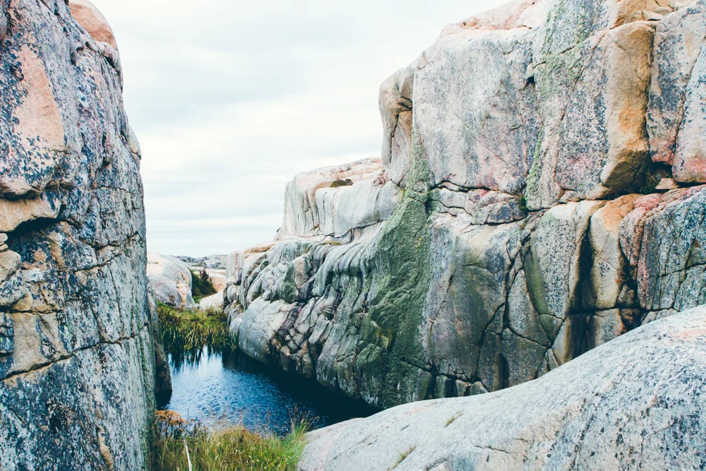 3.1 Valövägen Wildlife Reserve Sweden-16.08.17-TGP-4-72dpi.jpg