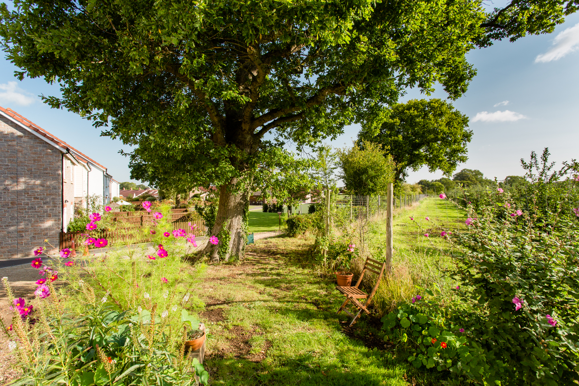 SMT-ArchLand-Sandford Station-17.09.12-TGP-7-72dpi.jpg