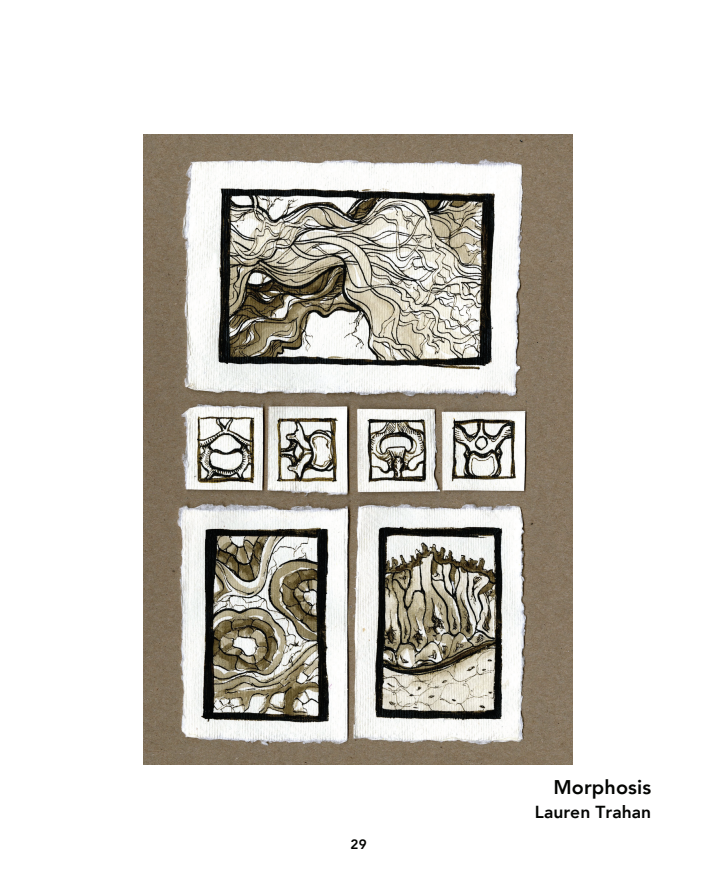 Screen Shot 2018-01-18 at 3.34.58 PM.png