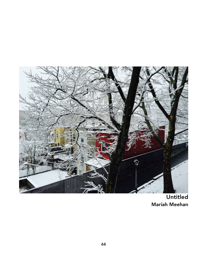 Screen Shot 2018-01-18 at 3.41.49 PM.png