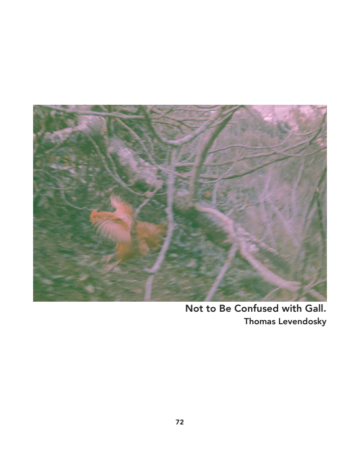 Screen Shot 2018-01-18 at 3.42.31 PM.png