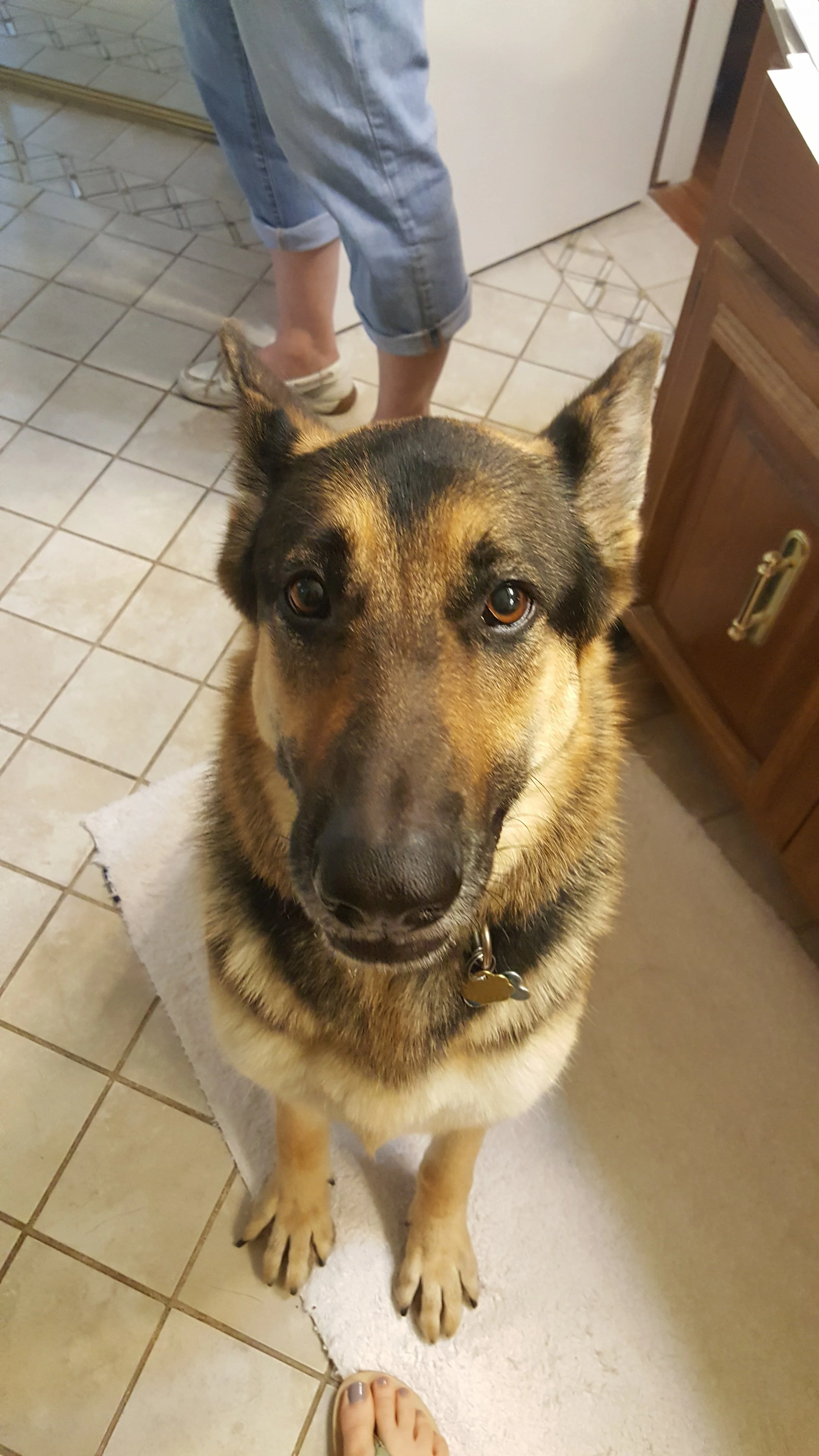 20170424_105145.jpg