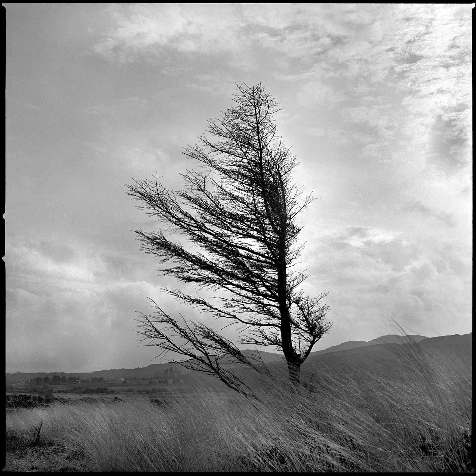 Co. Kerry, Ireland—2008