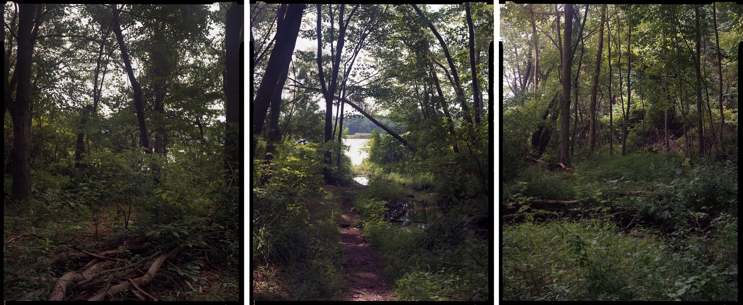 Farm Brook Reservoir