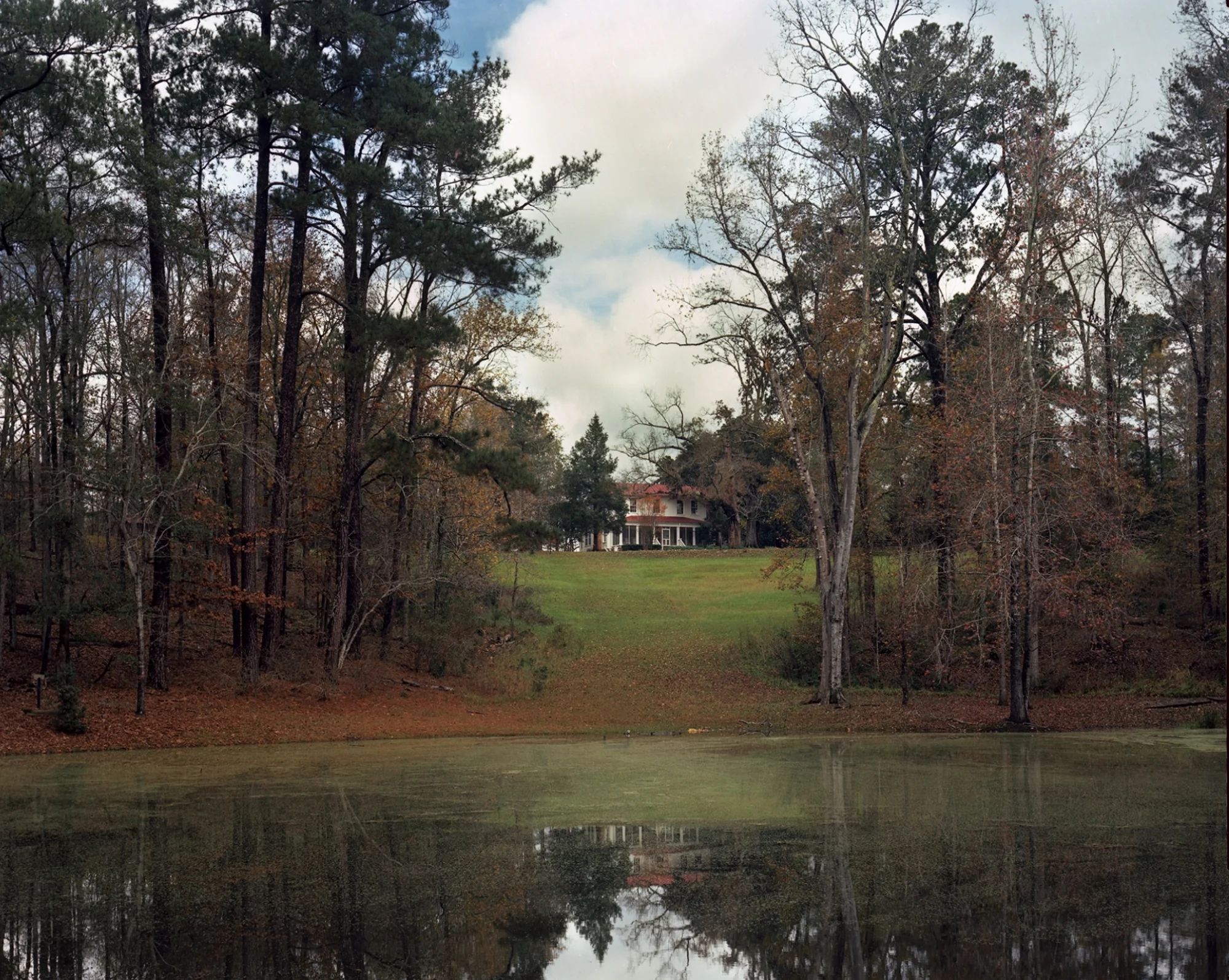 Andalusia Farm—2015
