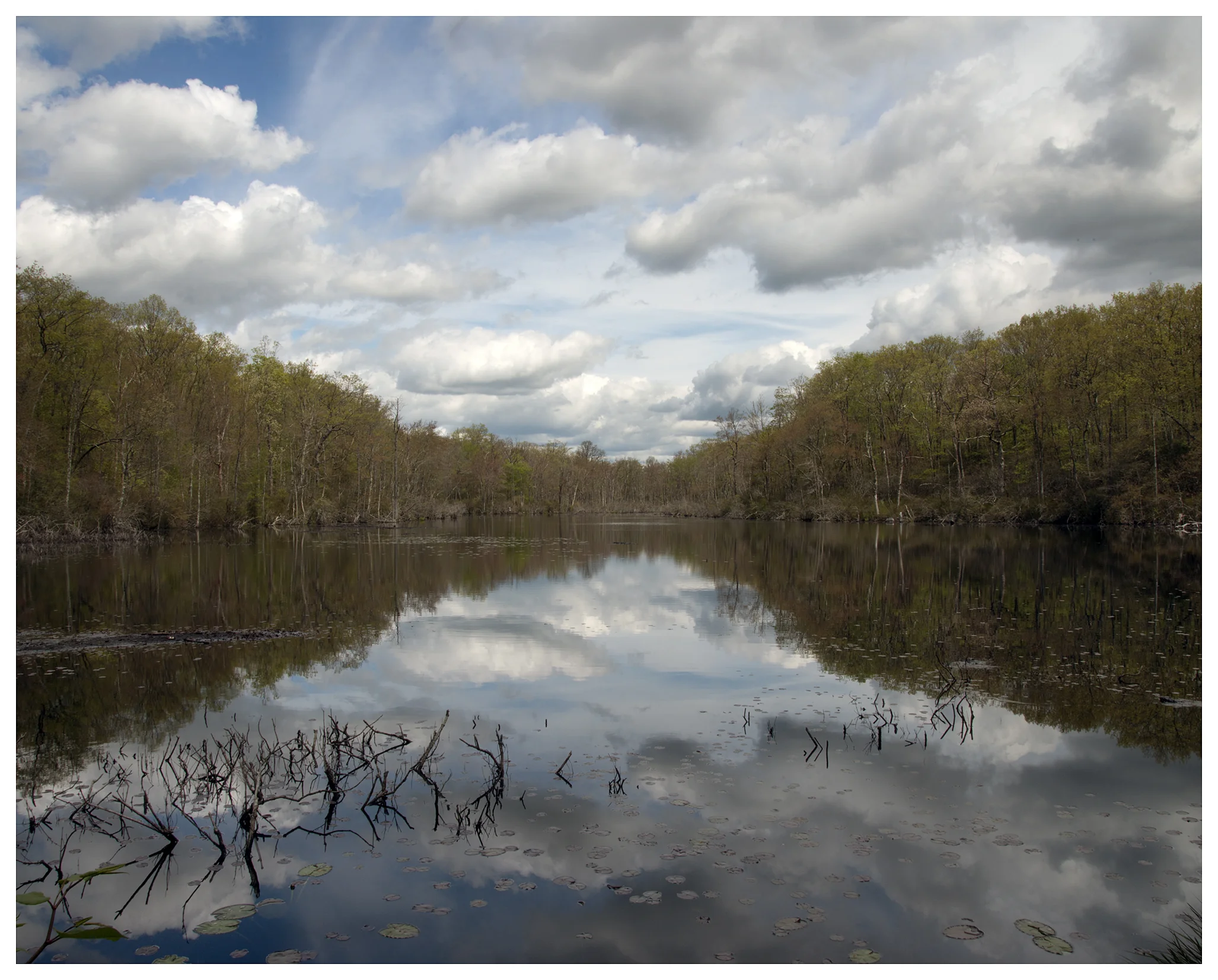 Hackney Marsh, Haddam, CT