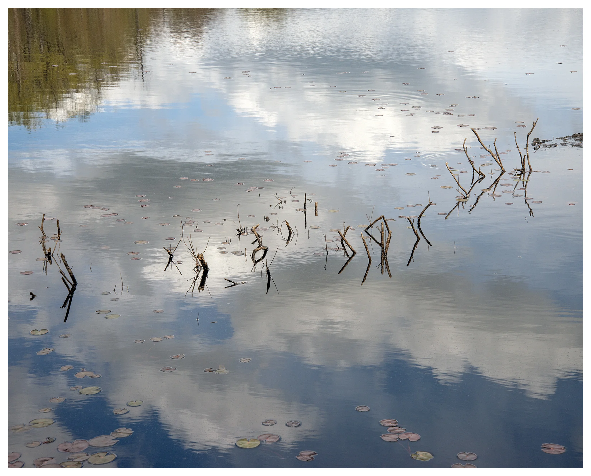 Hackney Marsh, Haddam, CT