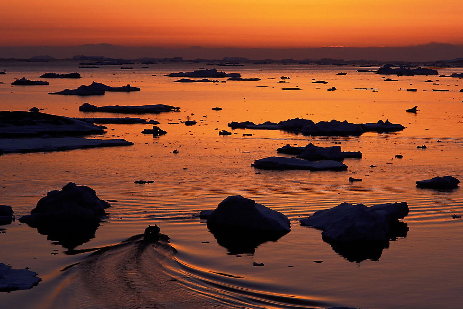10_Fishing_Dusk-WEB.jpg