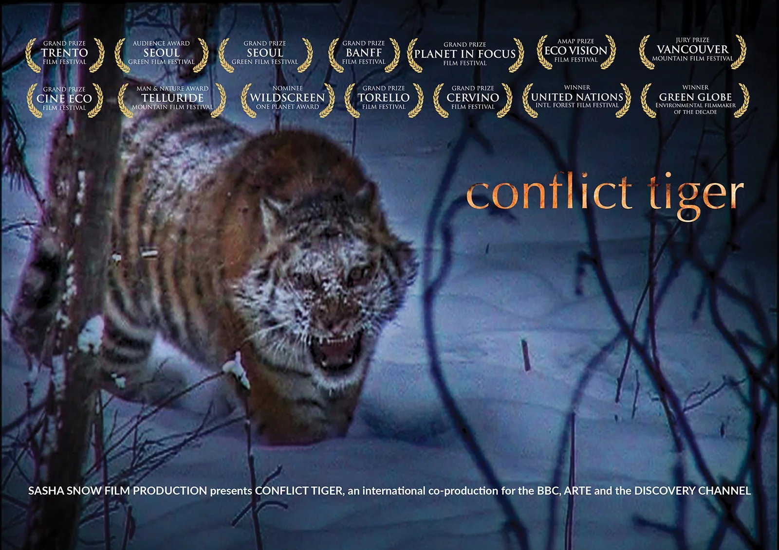 CONFLICT TIGER AWARDS.jpg