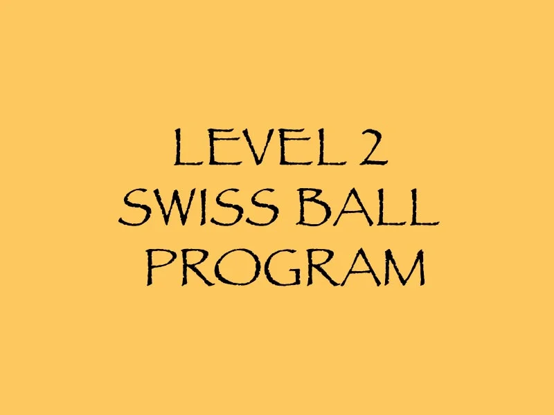 Level 2 Swiss Ball Program