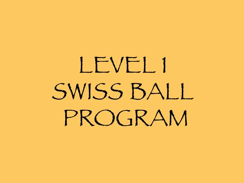 Level 1 Swiss Ball Program