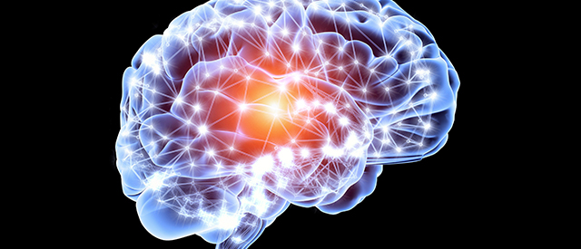 neurobrain.jpg
