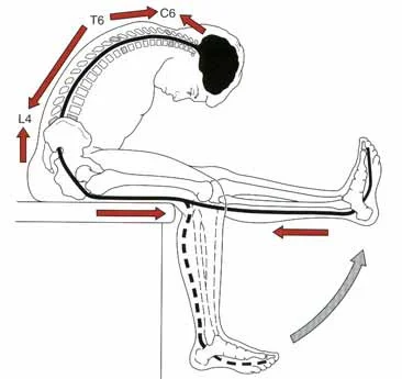 neurodynamics1.jpg