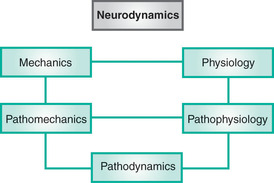 neurodynamics2.jpeg