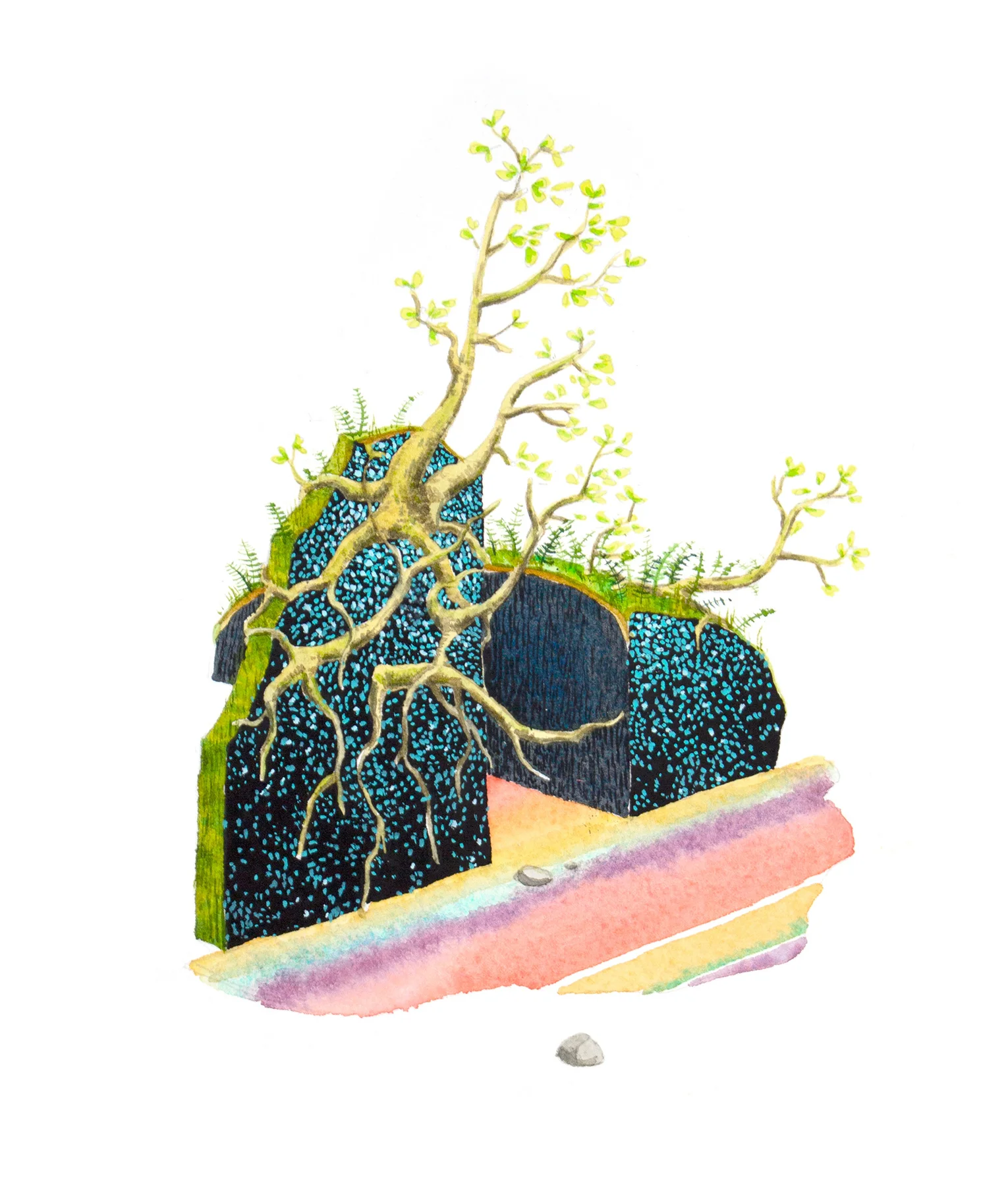 Dismals Canyon (Orfelia Fultoni)