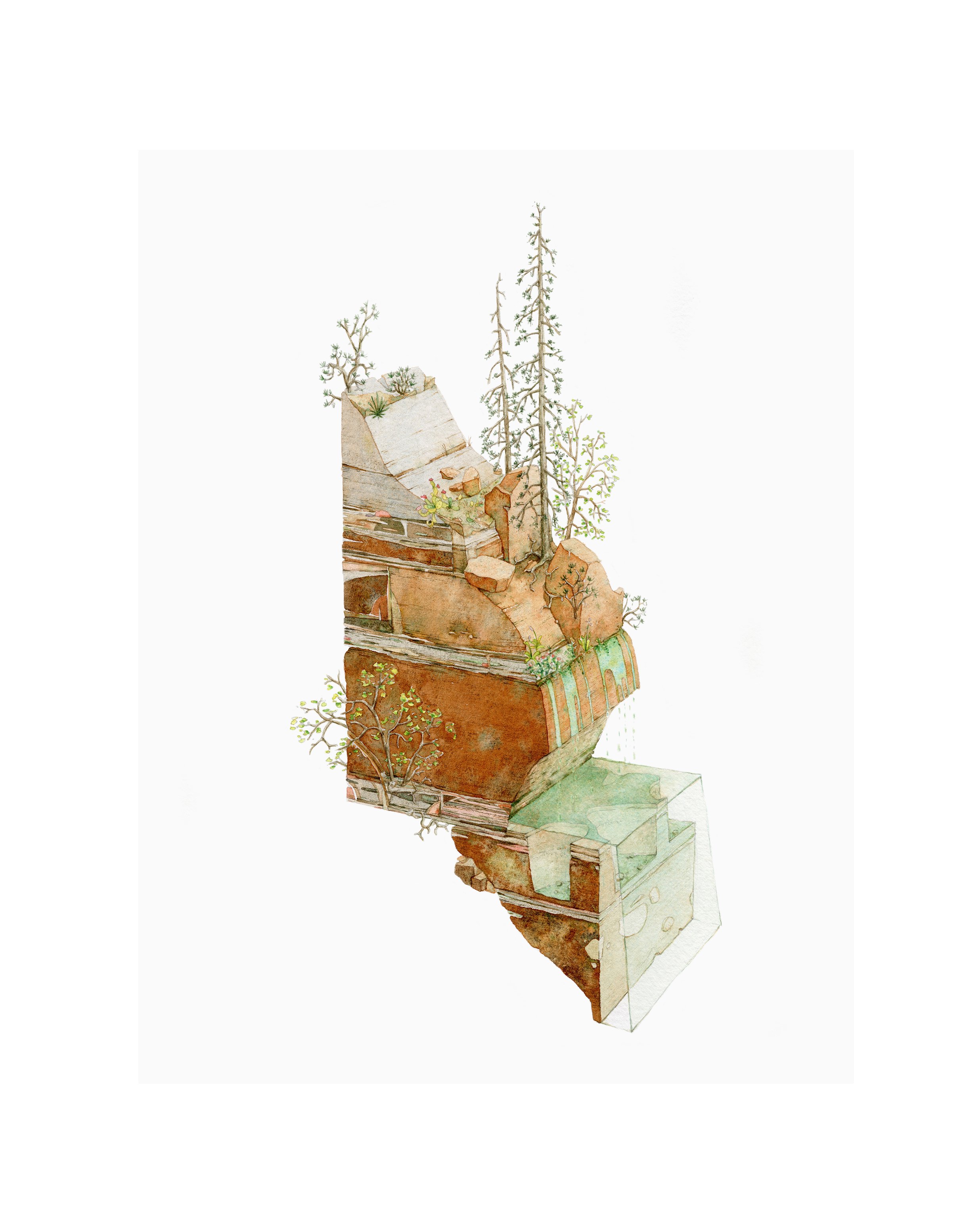 Weeping Rock white boarder.jpg