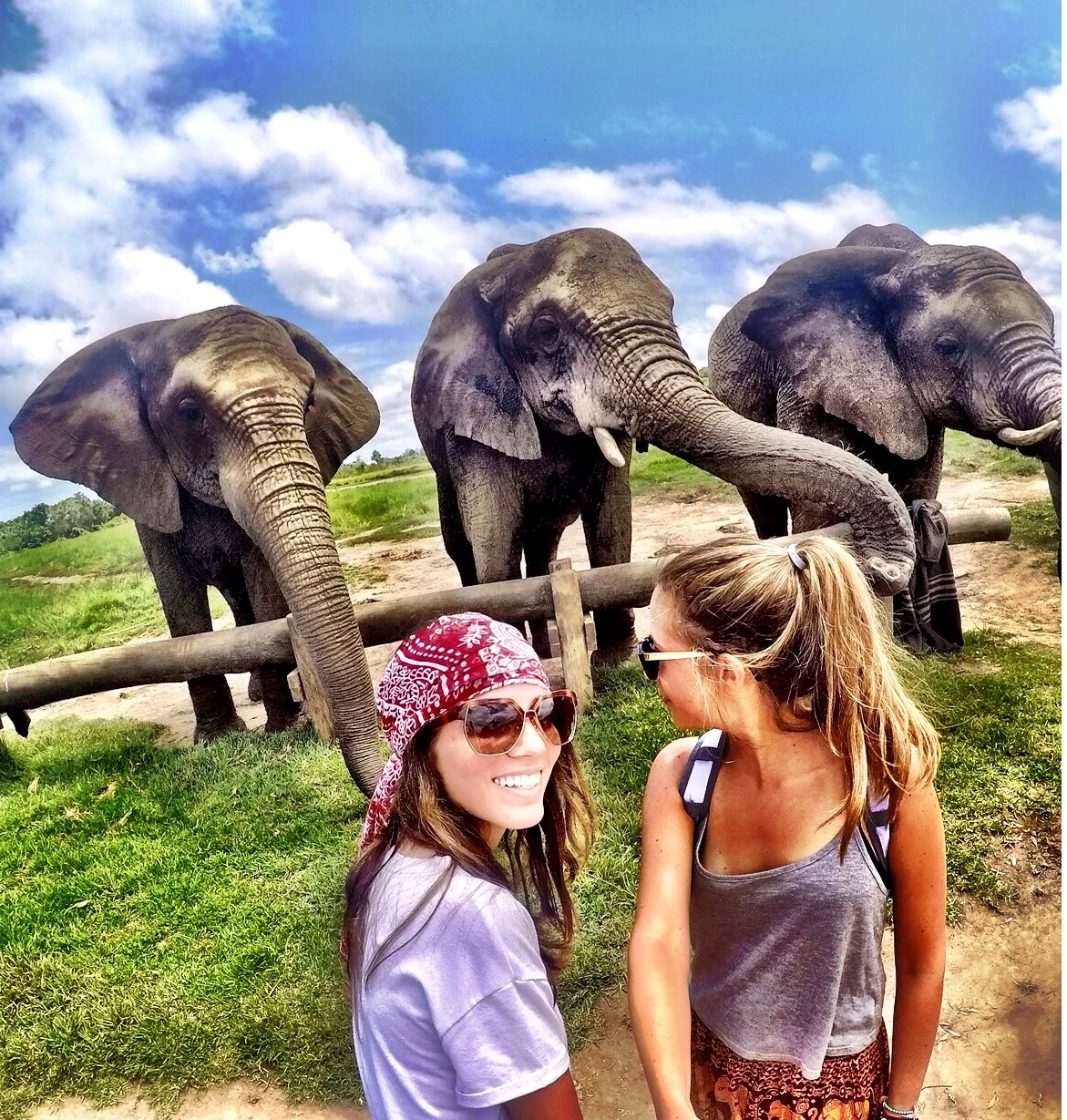Knysna - Elephant Sanctuary