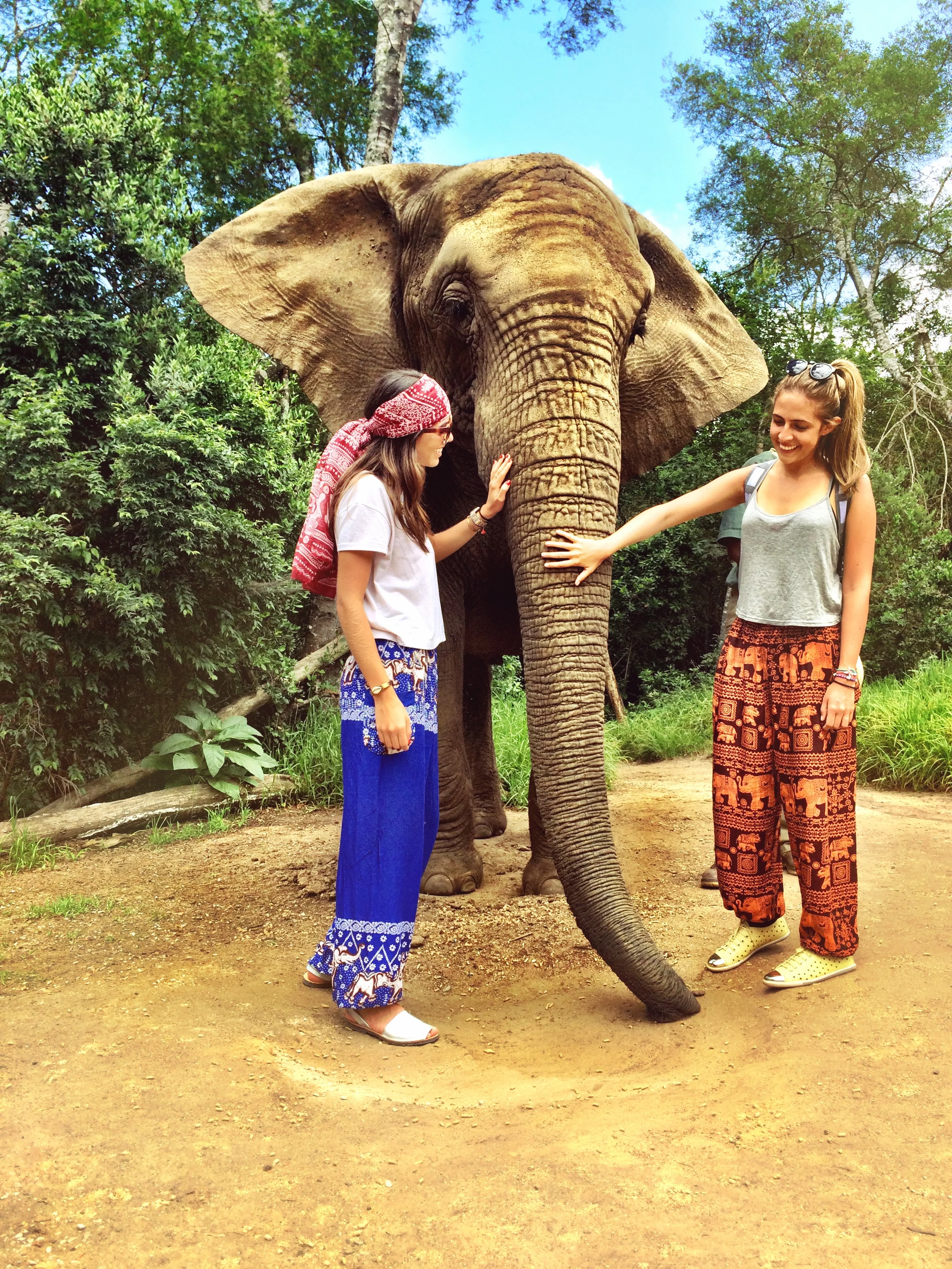 Knysna - Elephant Sanctuary