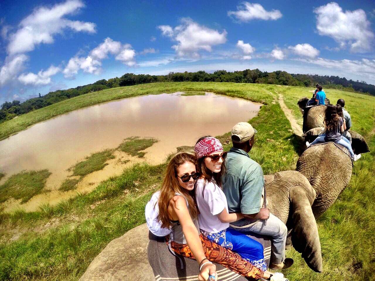 Knysna - Elephant Sanctuary