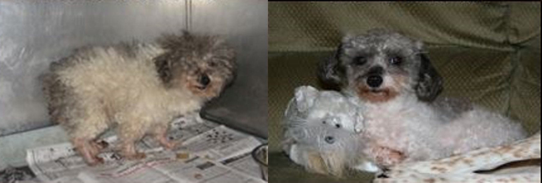 Sophia Before and After