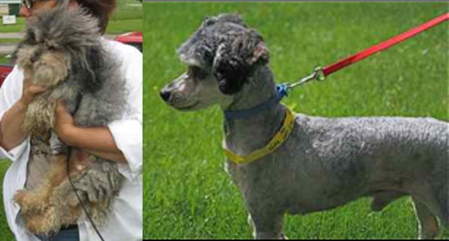 Trevor Before and After