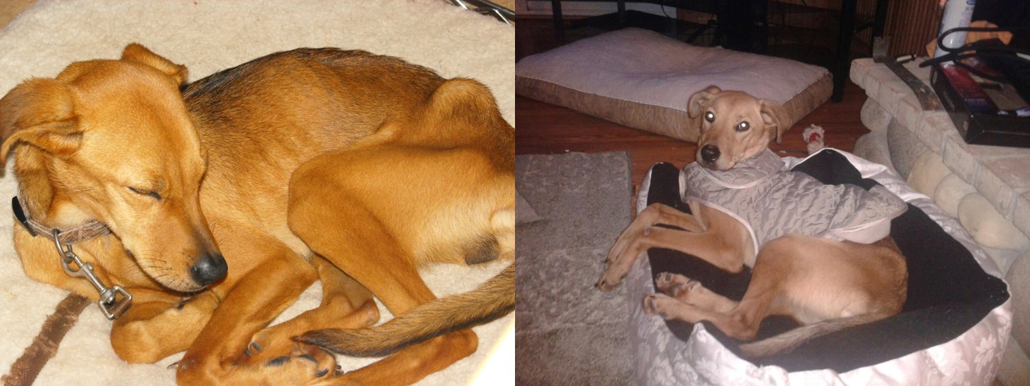 Emily Before and After