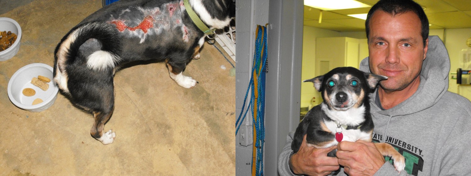 Ernie Before and After