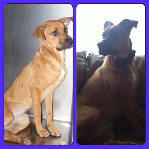 Madison BEFORE AND AFTER