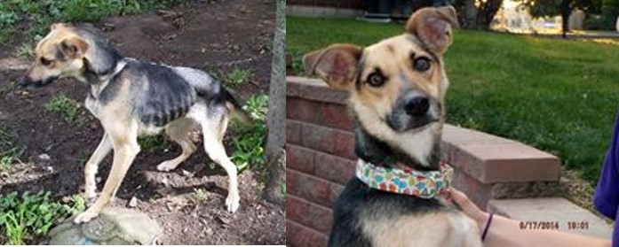 sassy before and after