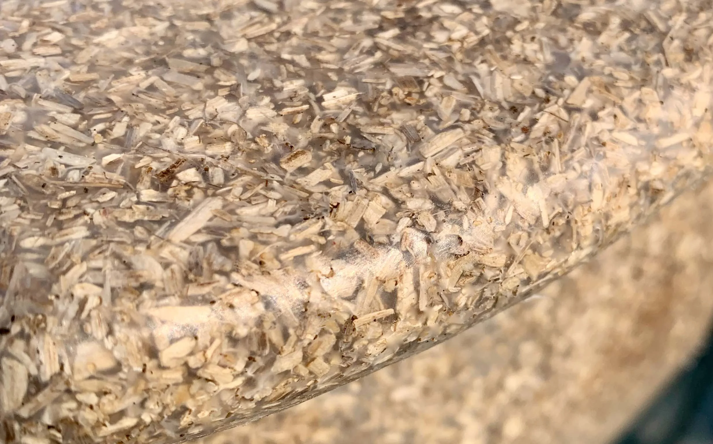 Vessou Close up RAW (Low Res).jpg