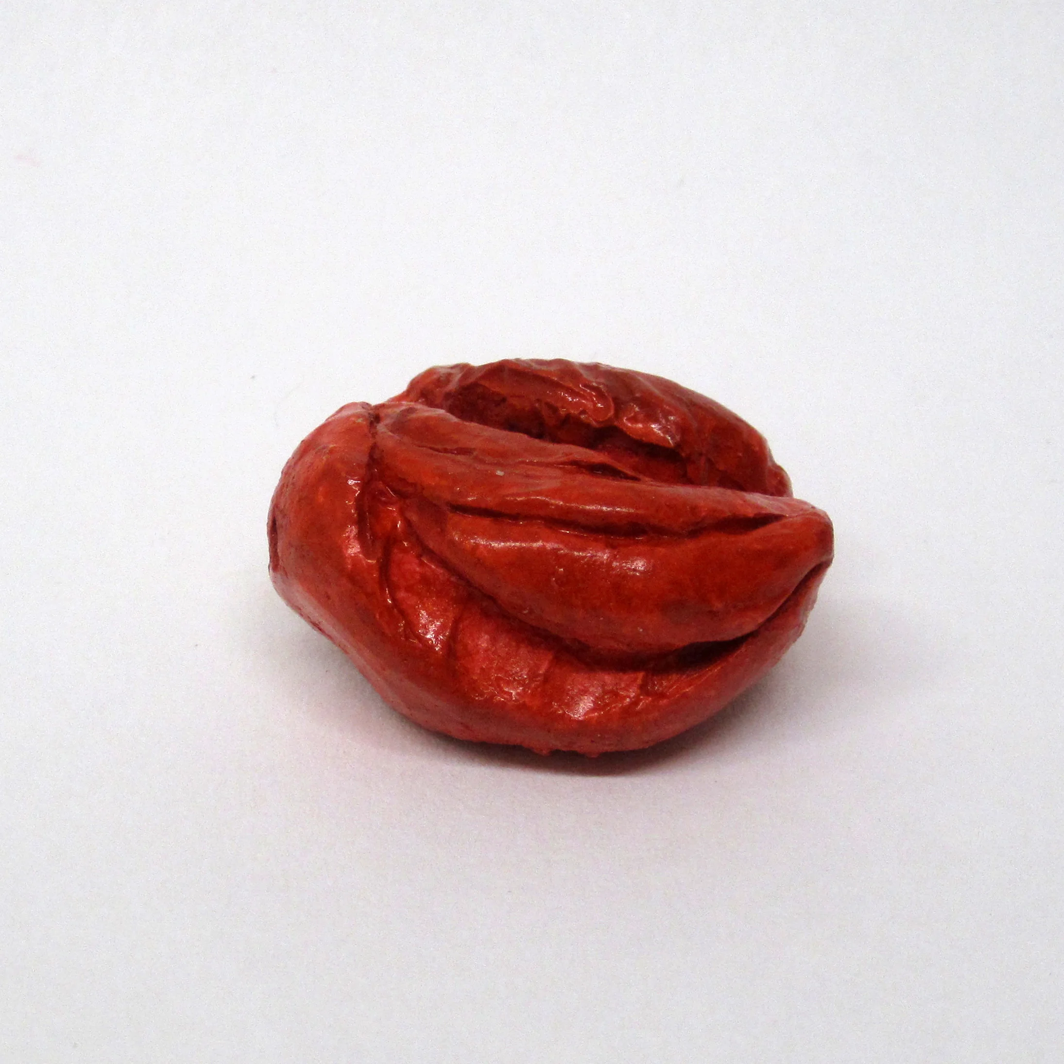 bite 3.jpg