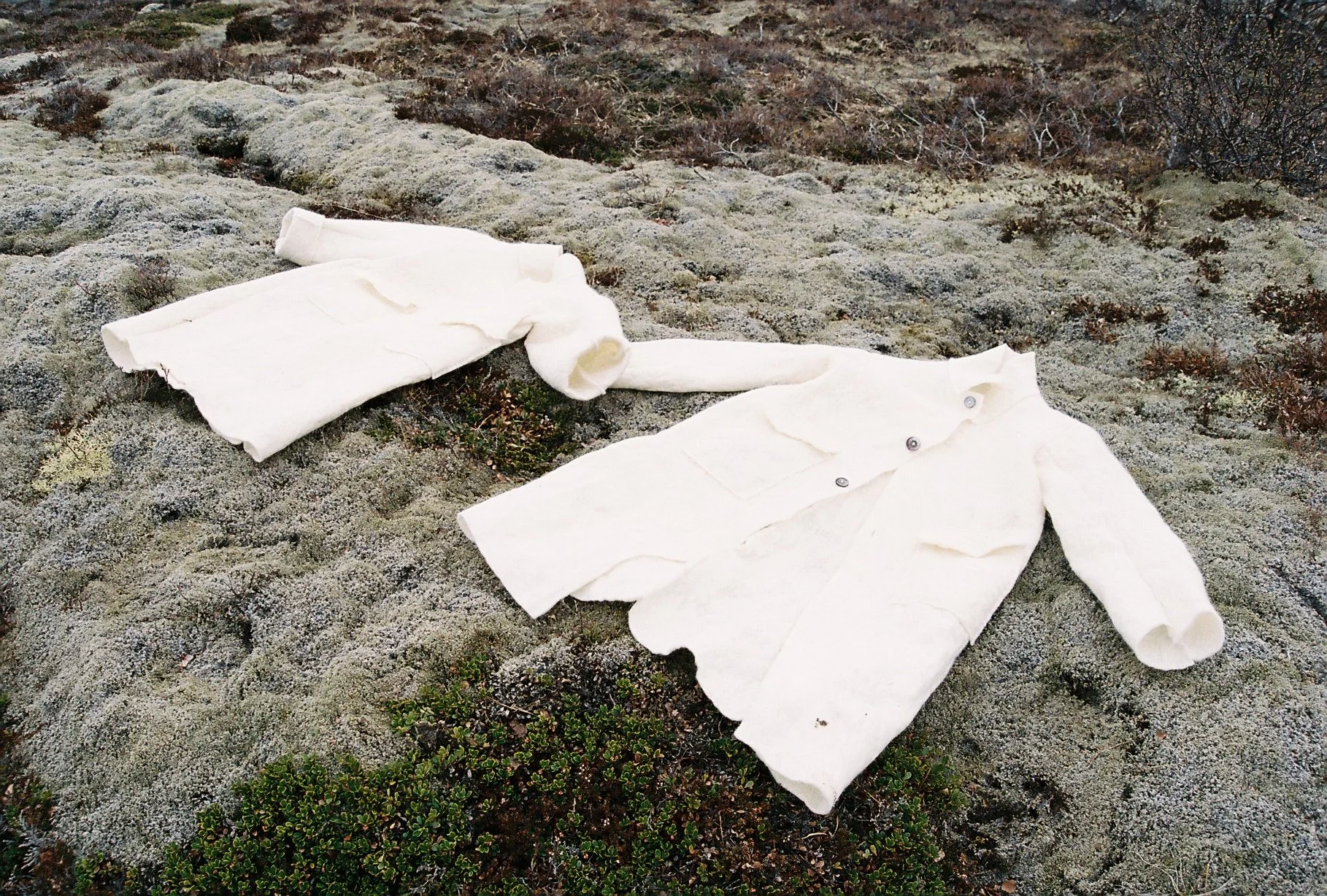 Copy of R1-01275-009A.JPG