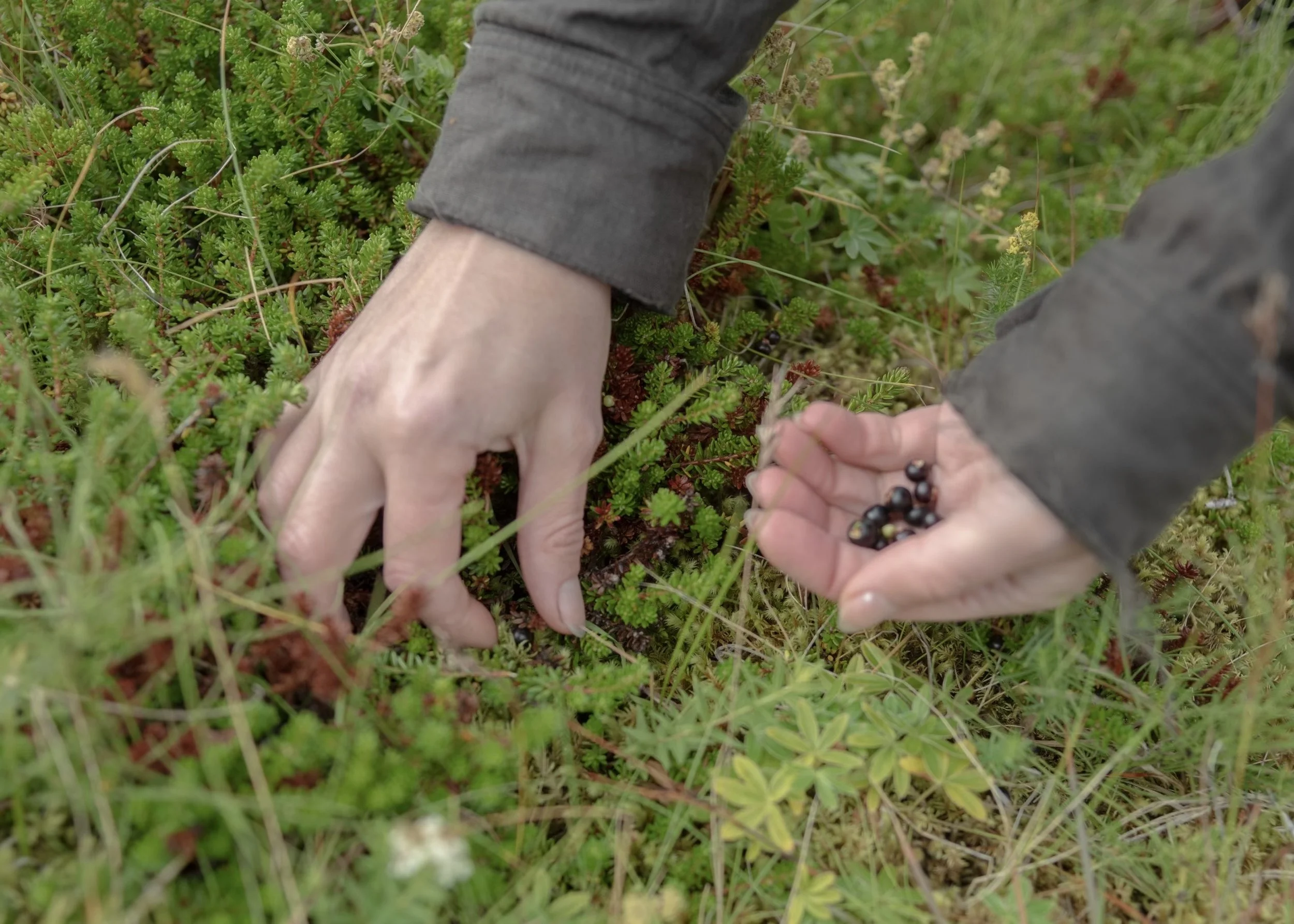 a_hughmanick_aimee_L1001971_4984 x 7513.jpeg