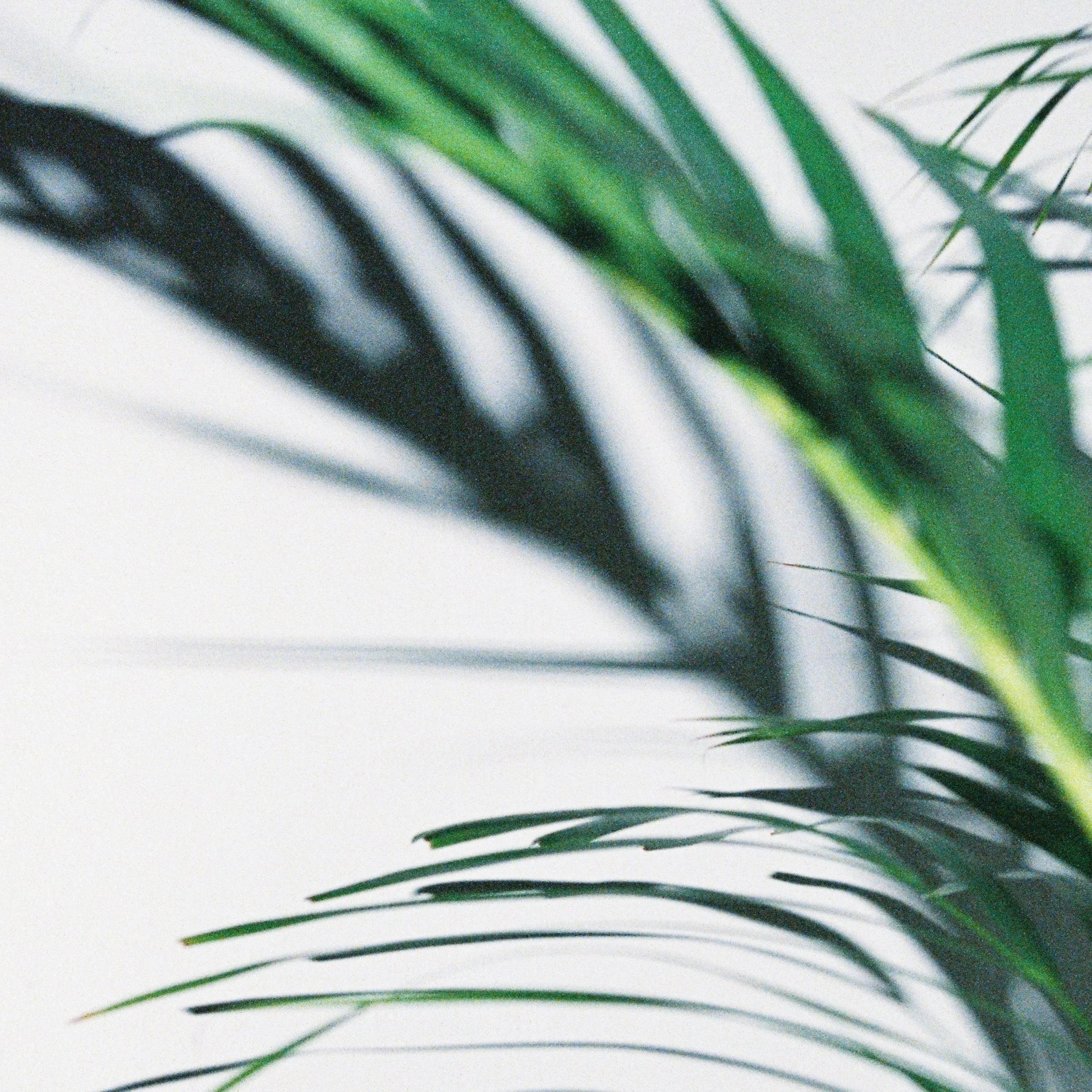 04 in utero beat.JPG