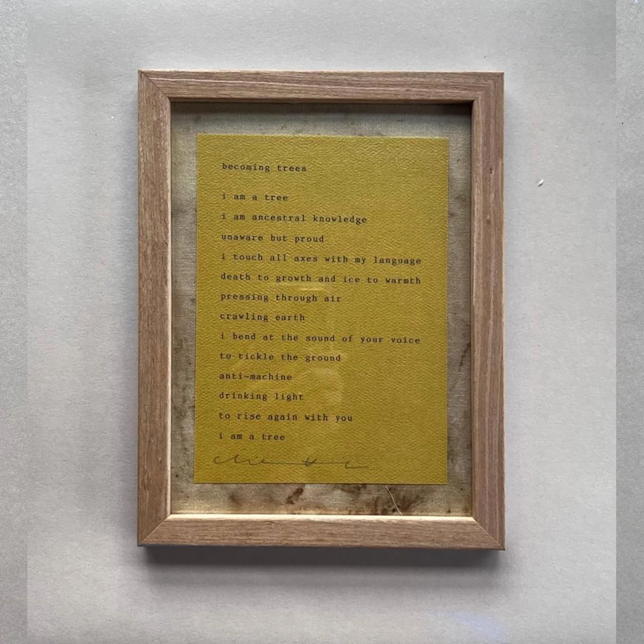 WhatsApp Image 2024-09-14 at 13.42.40.jpeg