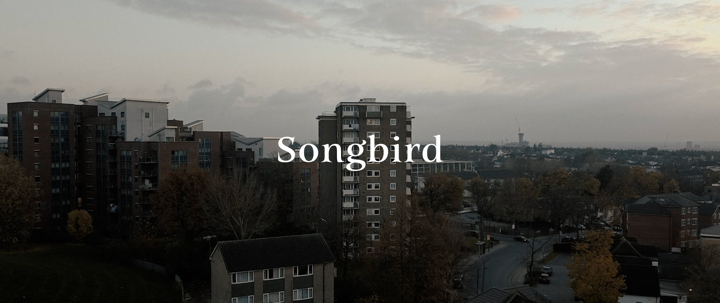 Songbird FIN 5.1s.00_00_33_01.Still001.jpg