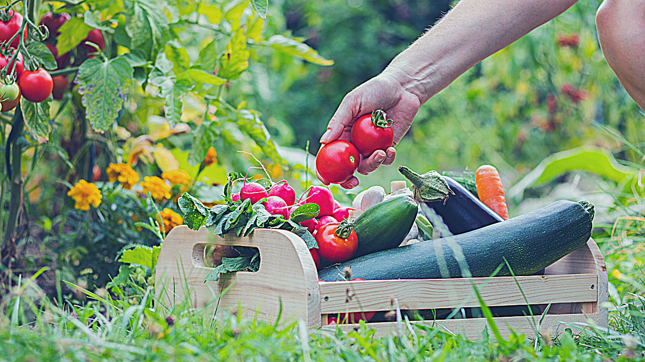 Home Page Banner1.png