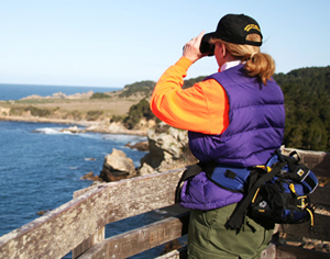 volunteer keeping watch on coast