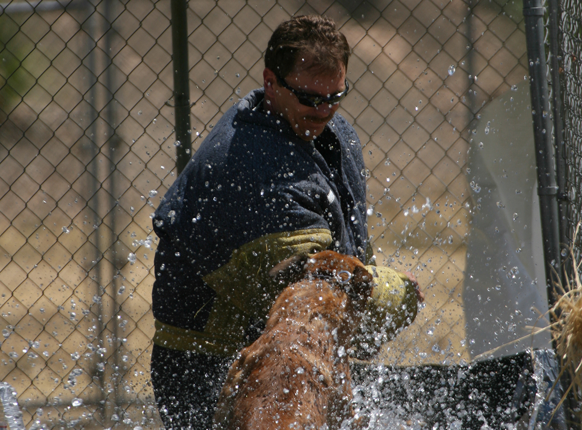 K9 with handler.