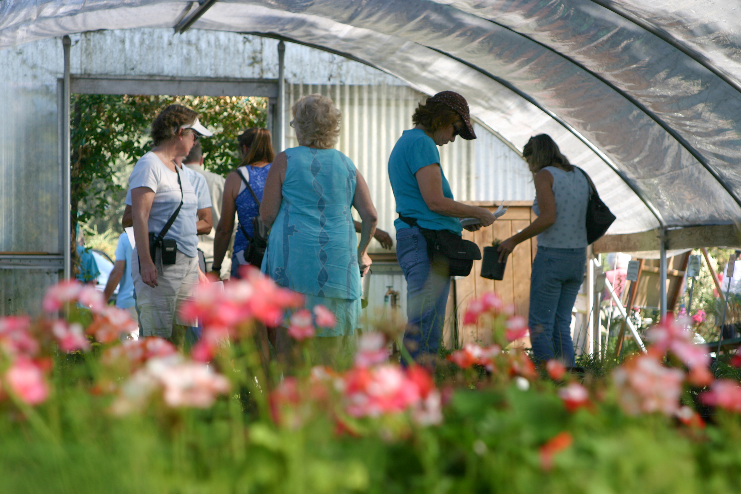 The public browses greenhouse filled with products grown through the Jail Industry Program.