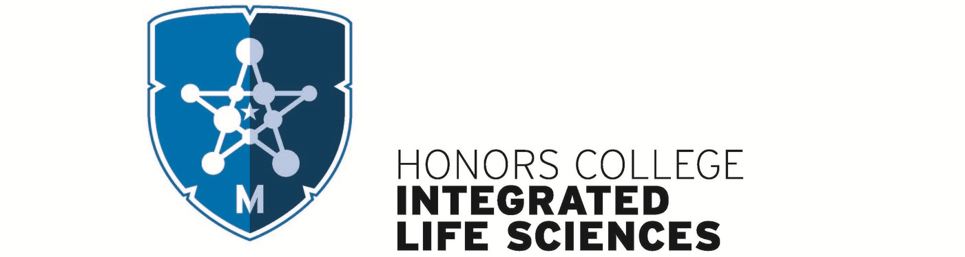 ILS logo