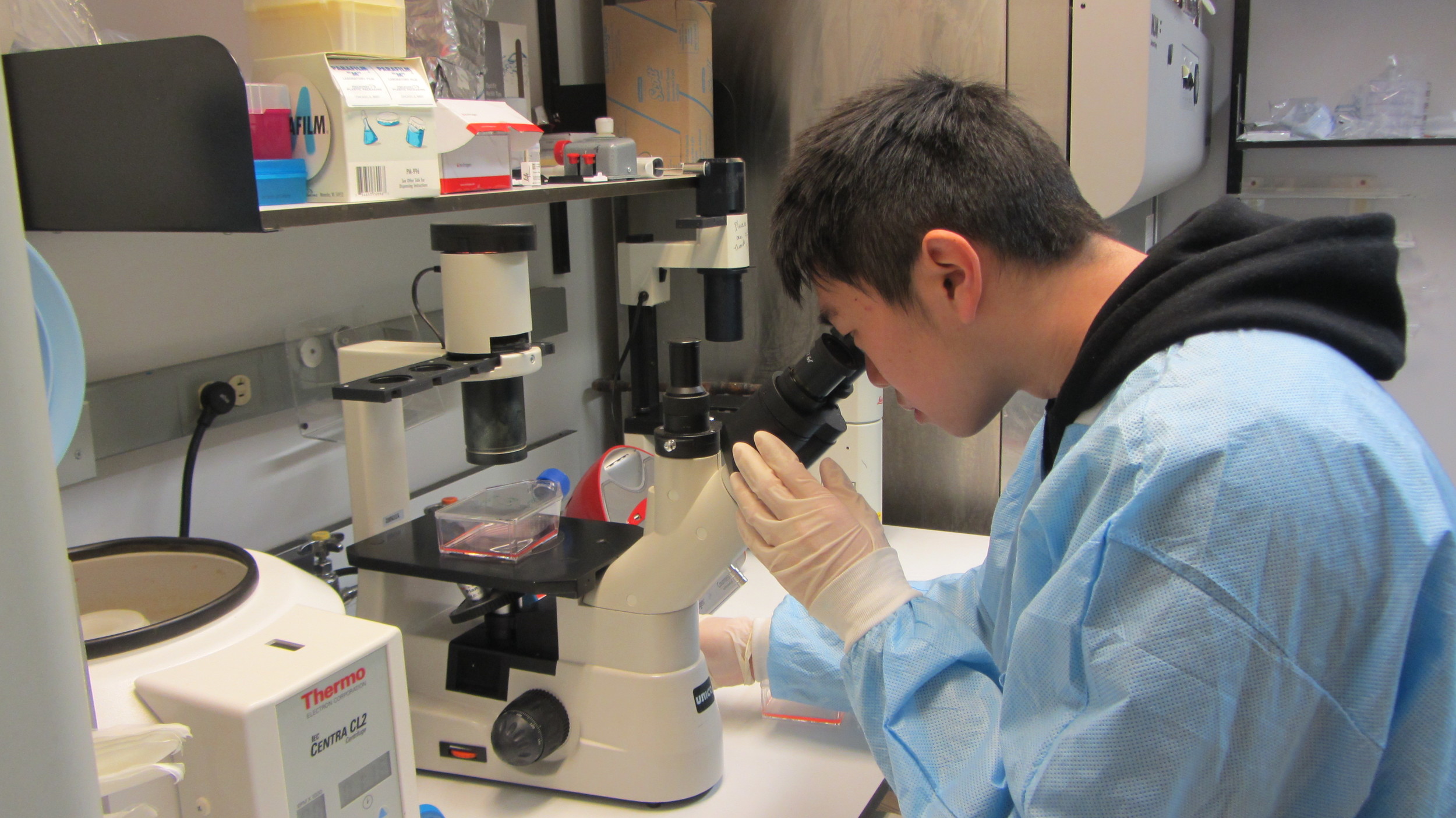 ILS student looking through a microscope.