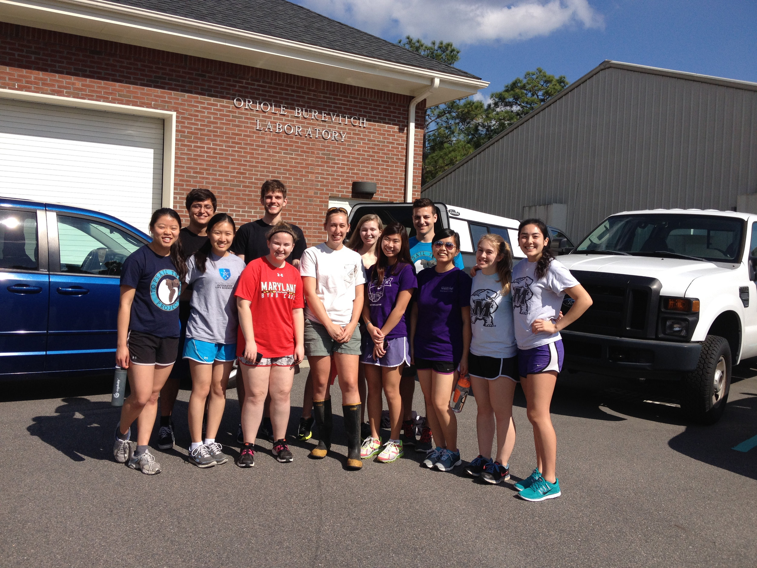 Terps helping turtles at turtle rescue center.