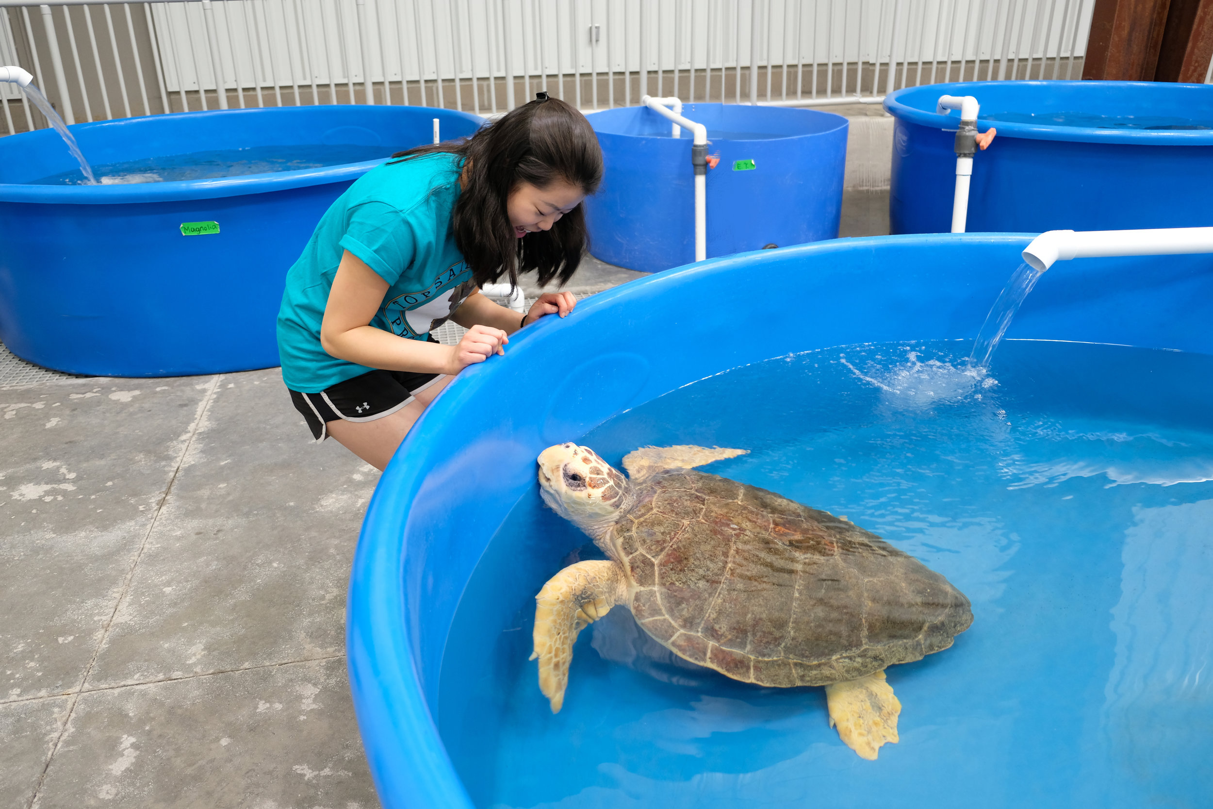 Nicole Moy at the Terps Helping Turtles alternative spring break.