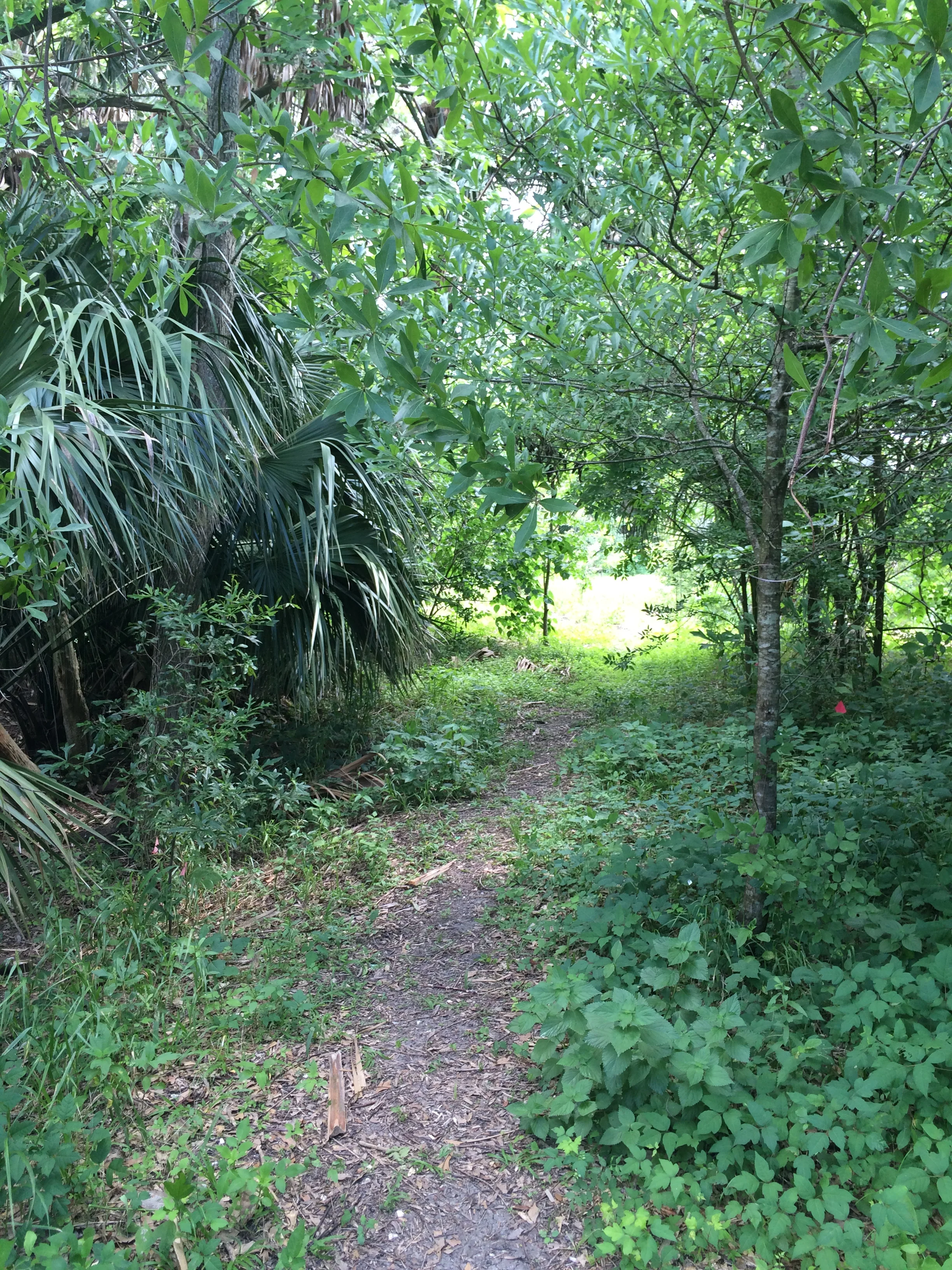 2015-05-05 10.49.34.jpg