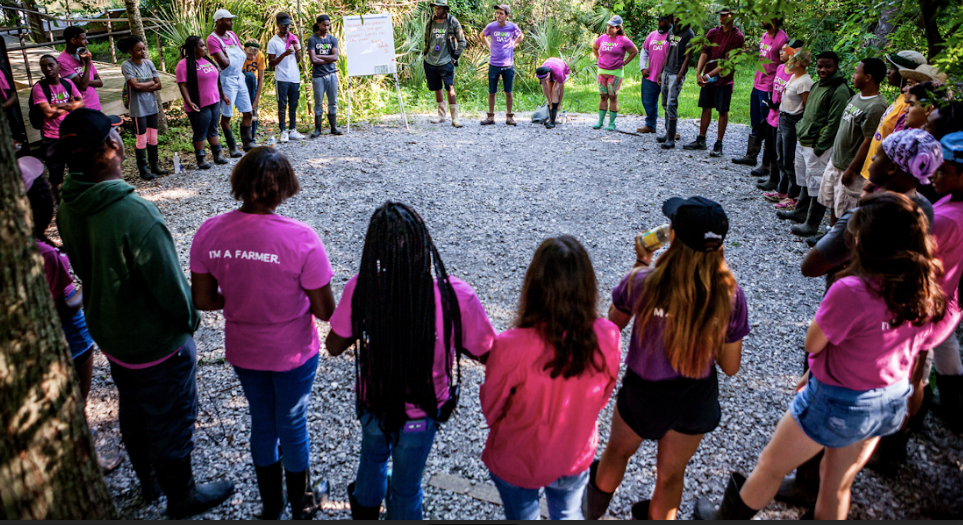 Family &amp; Friends Farm Day